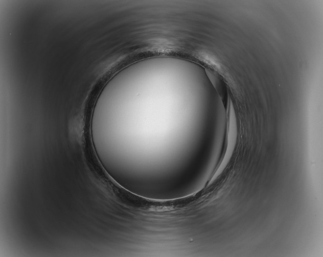 X0000089340440200706151046