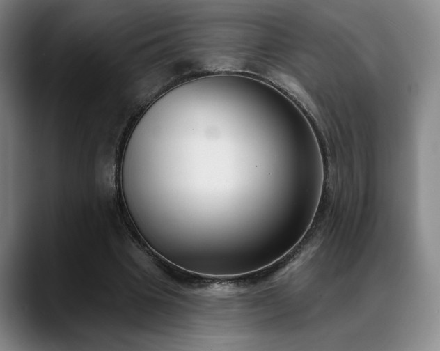X0000089340441200706151046