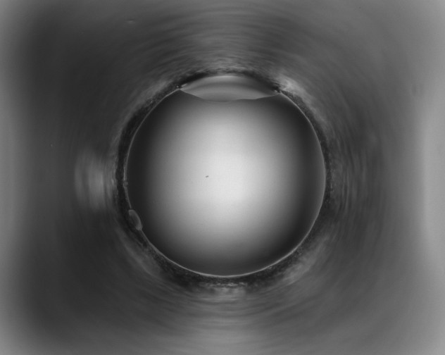 X0000089340443200706151046