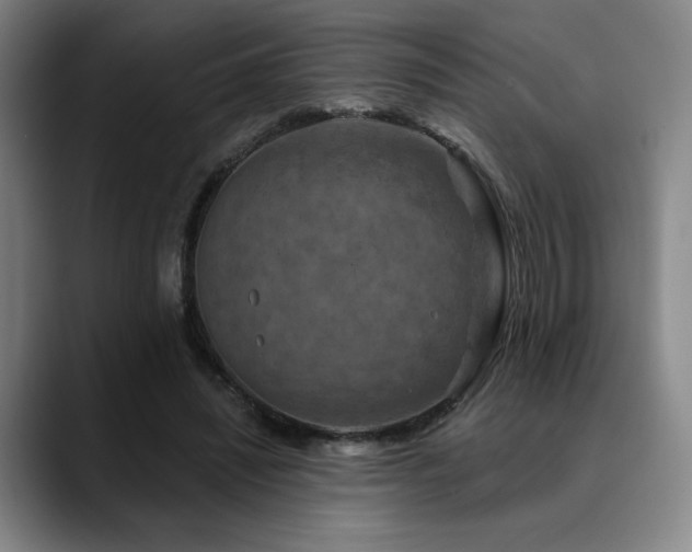 X0000089340444200706151046