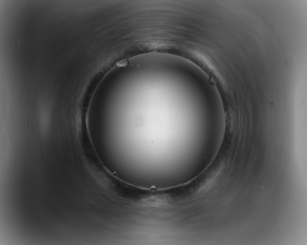 X0000089340447200706151046