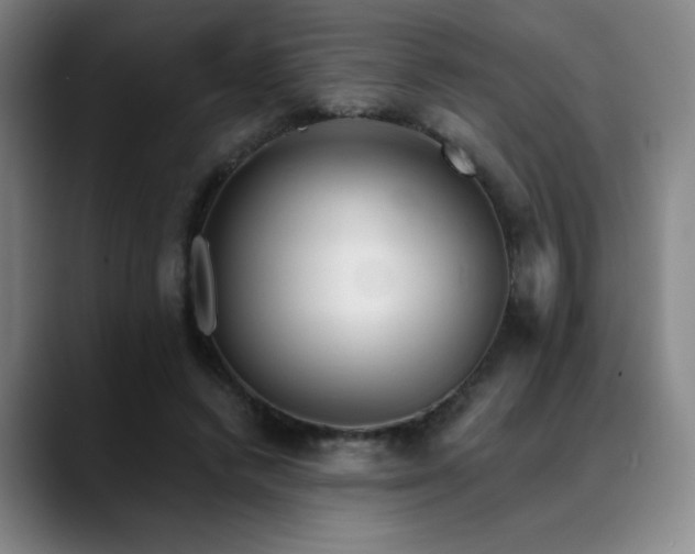 X0000089340448200706151046