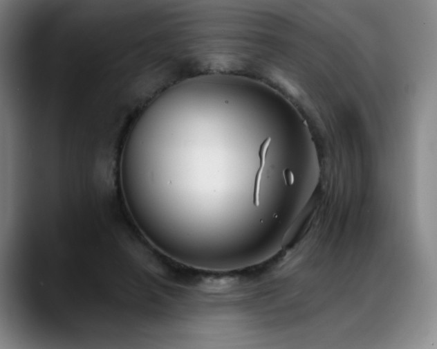 X0000089340450200706151046
