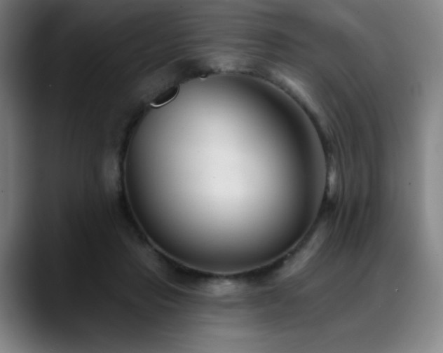 X0000089340453200706151046