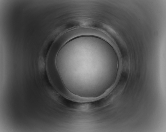X0000089340456200706151046