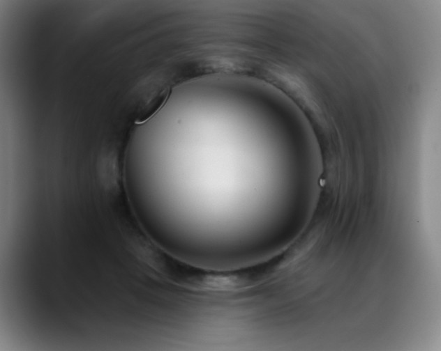 X0000089340457200706151046