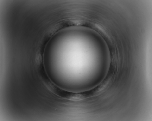 X0000089340459200706151046