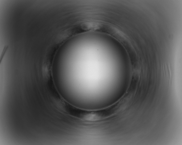 X0000089340460200706151046