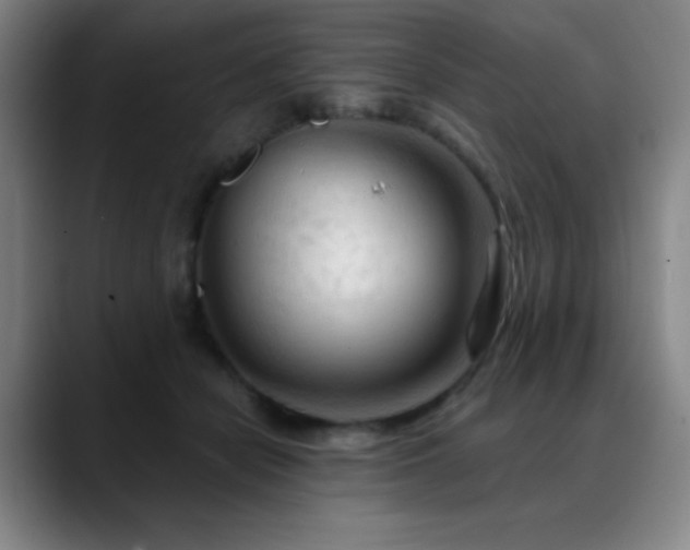 X0000089340462200706151046
