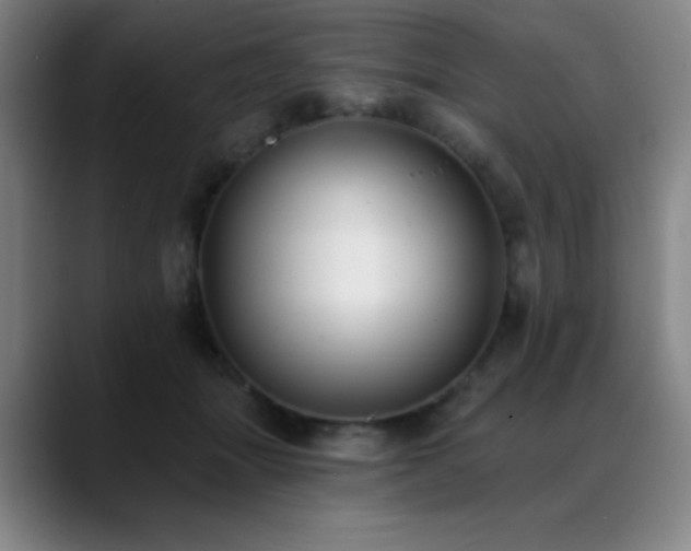 X0000089340463200706151046