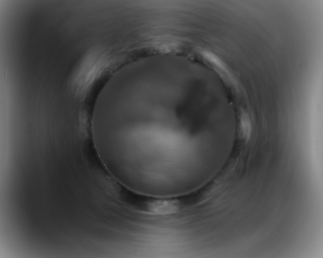 X0000089340465200706151046