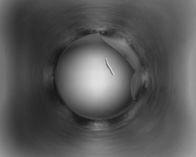X0000089340466200706151046