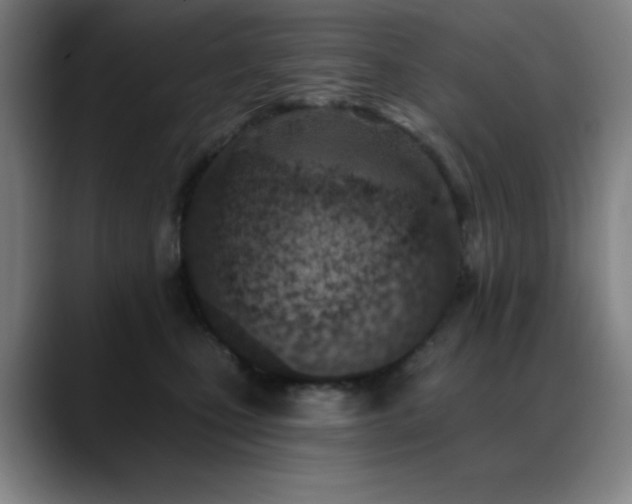 X0000089340471200706151046