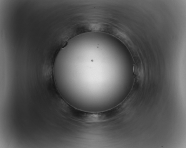 X0000089340473200706151046