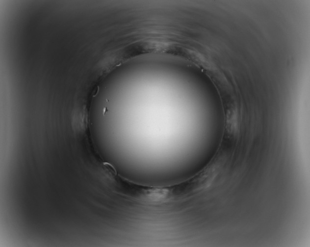 X0000089340474200706151046