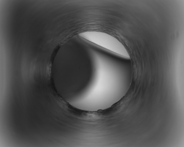 X0000089340475200706151047
