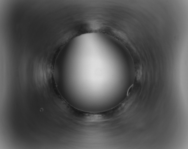 X0000089340476200706151047