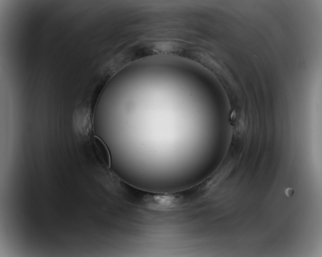 X0000089340478200706151047