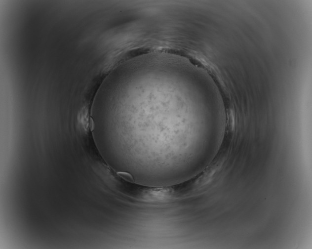 X0000089340479200706151047