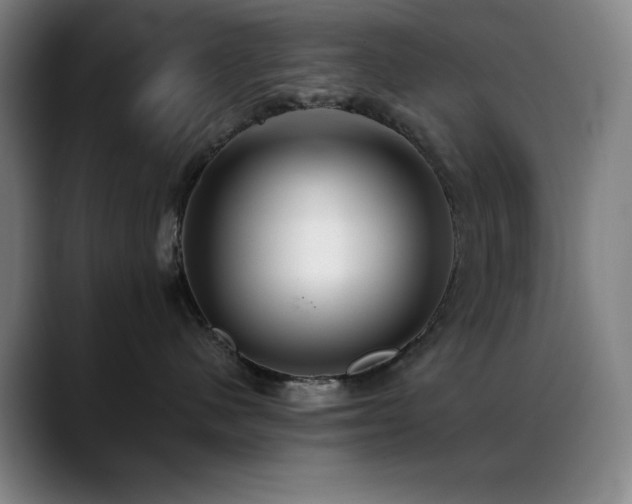 X0000089340480200706151047