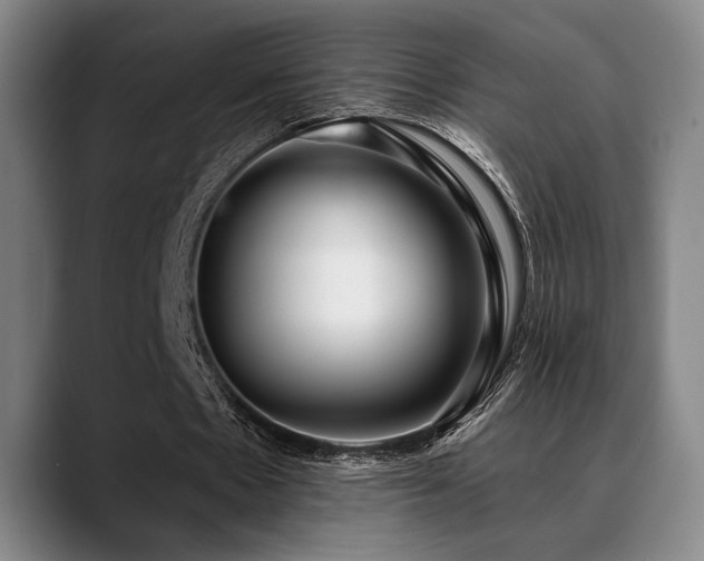 X0000089340481200706151046