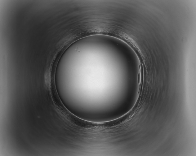 X0000089340482200706151046