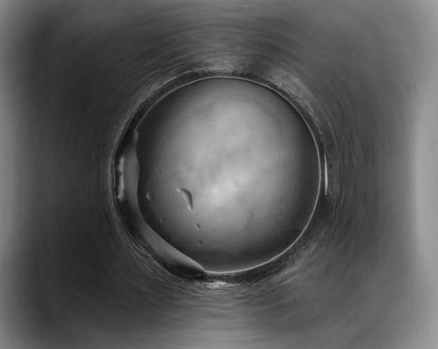 X0000089340483200706151046