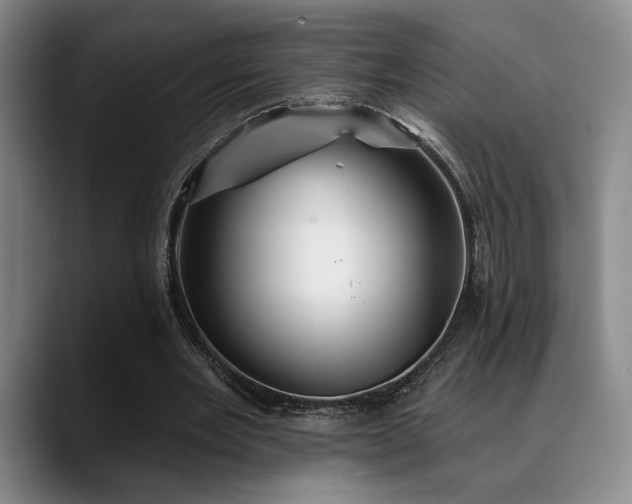 X0000089340485200706151046