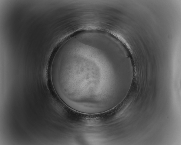 X0000089340487200706151046