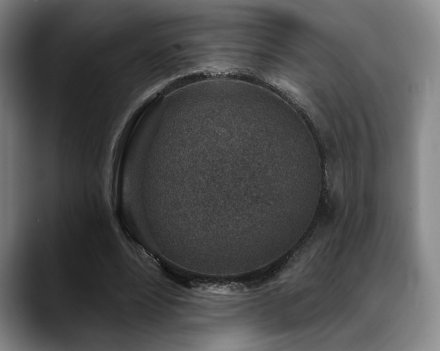 X0000089340488200706151046