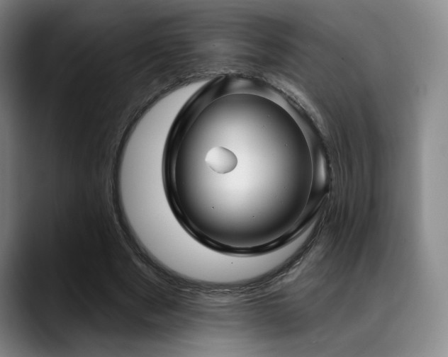 X0000089340489200706151046