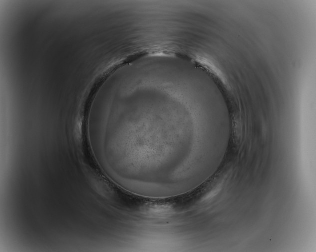 X0000089340491200706151046