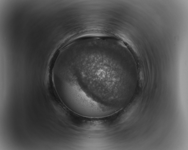 X0000089340492200706151046