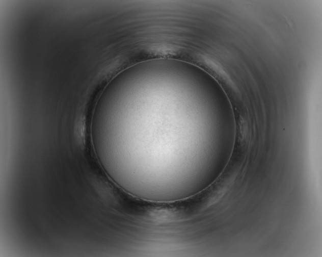 X0000089340494200706151046