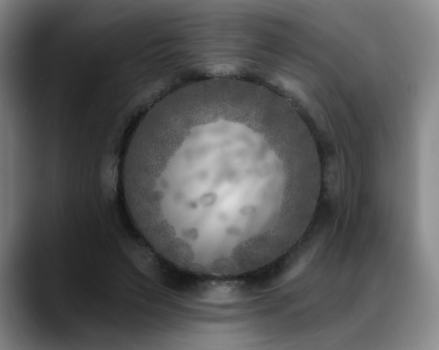 X0000089340495200706151046