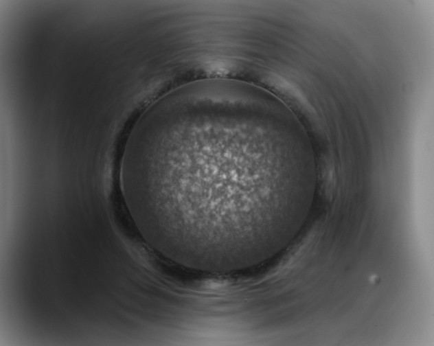X0000089340496200706151046