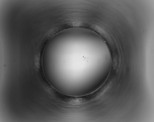 X0000089340497200706151046