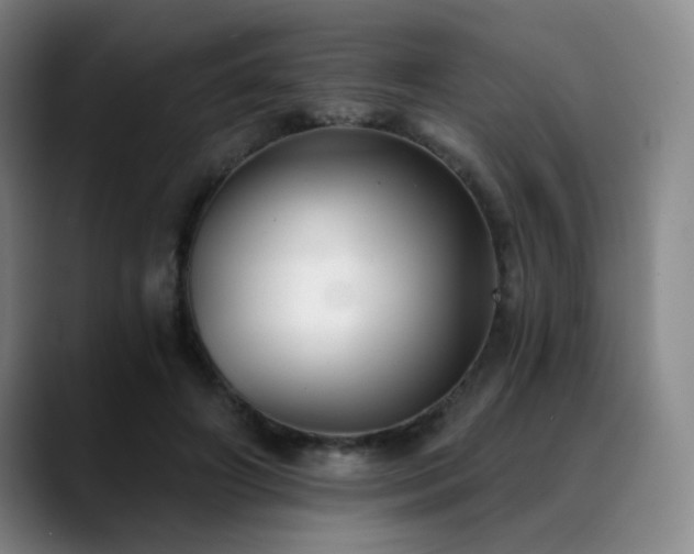 X0000089340498200706151046