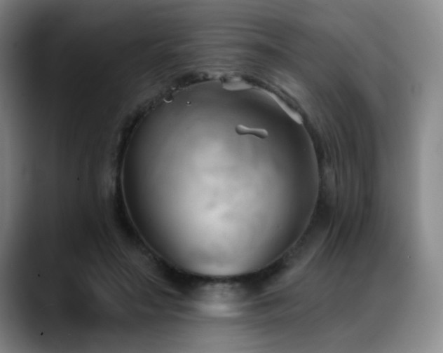X0000089340499200706151046
