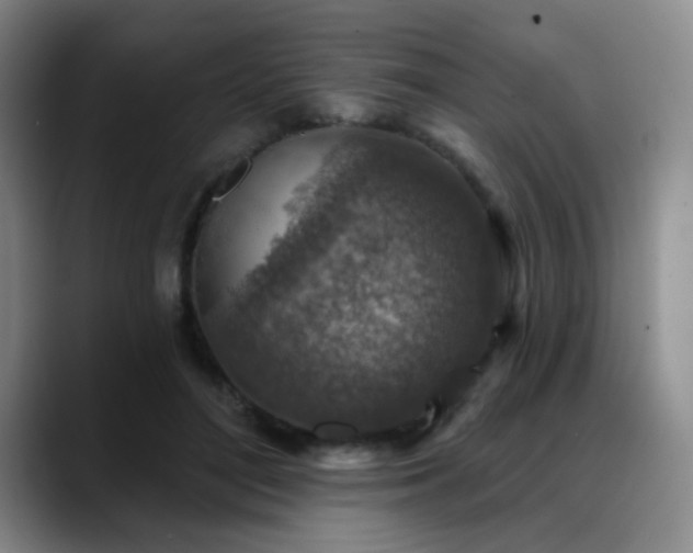 X0000089340500200706151046