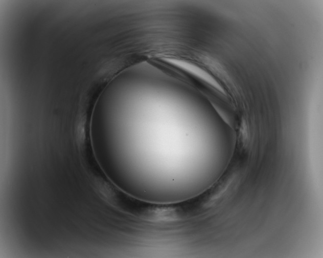 X0000089340501200706151046
