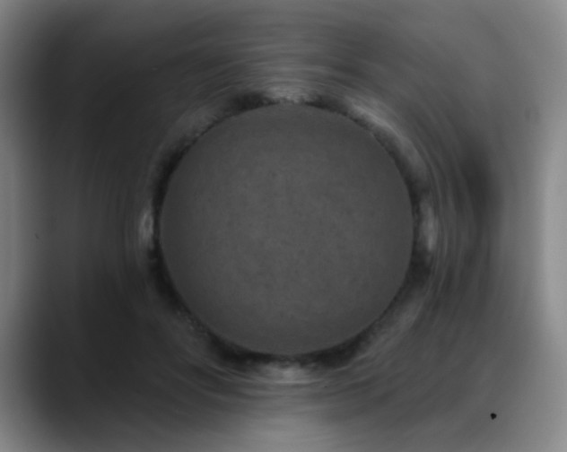 X0000089340502200706151046