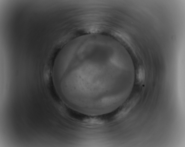 X0000089340503200706151046