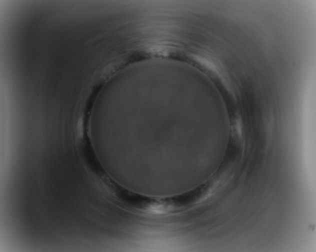 X0000089340504200706151046