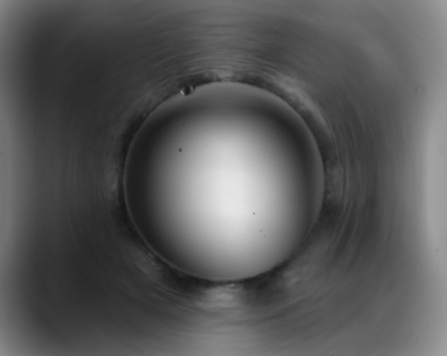 X0000089340505200706151046