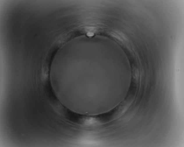 X0000089340507200706151046
