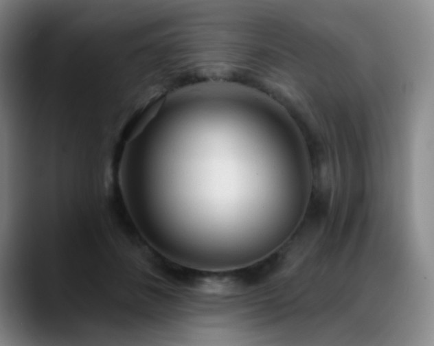 X0000089340508200706151046