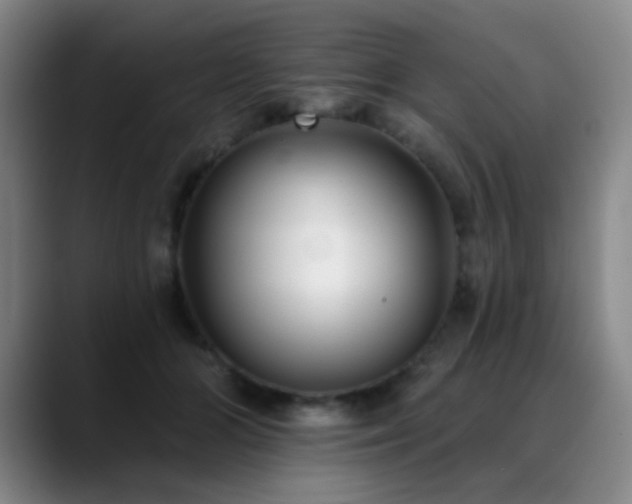 X0000089340510200706151046