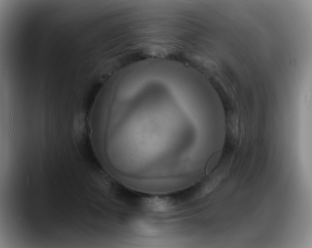 X0000089340511200706151046