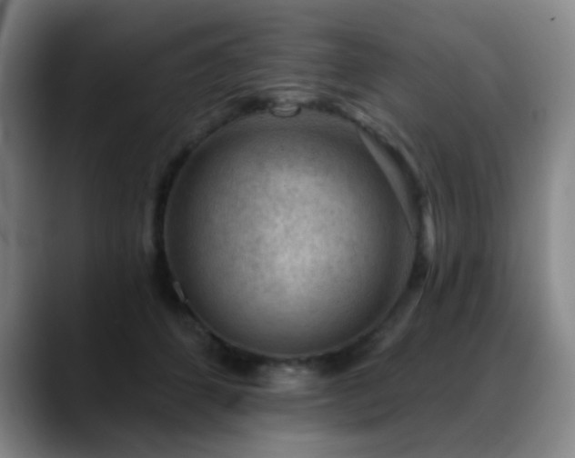 X0000089340512200706151046
